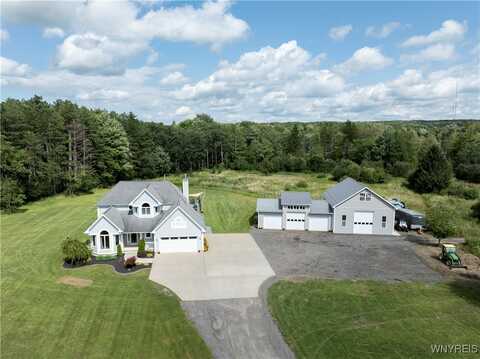 8081 Irish Road, Colden, NY 14033