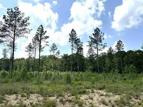 lot 24 Grant County Road 763, Sheridan, AR 72150