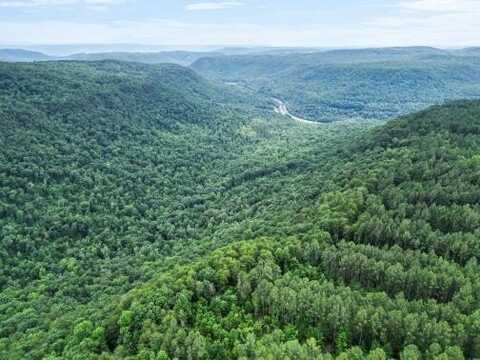Split Rail Way, Guild, TN 37340