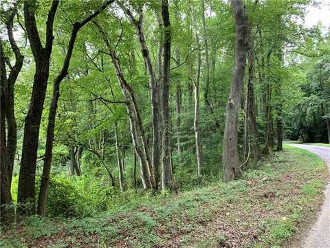 Lot 38f Crosshills Road, Heathsville, VA 22473