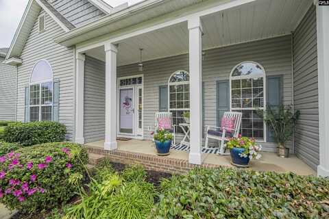 417 Slipstream Lane, Chapin, SC 29036