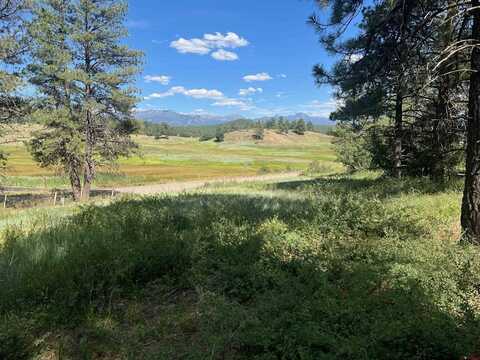 X County Rd. 400, Pagosa Springs, CO 81147