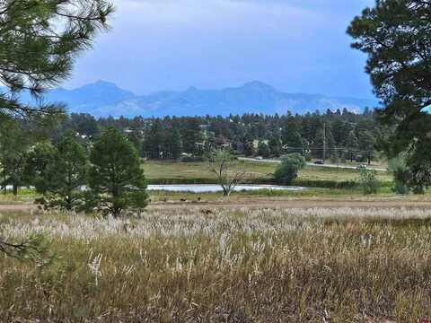 340 Prospect Boulevard, Pagosa Springs, CO 81147