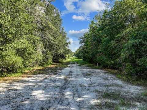 19 acres 140th St, Trenton, FL 32693