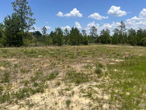 Tbd Independence drive, Chipley, FL 32428