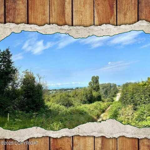 51580 Tordrillo Lane, Kenai, AK 99635