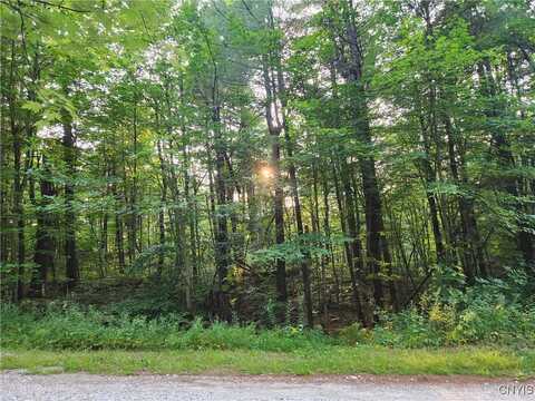 Lot 13 Whitaker Road, Rossie, NY 13646