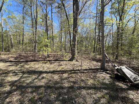 35 Acres Lafayette Road, Rocky Face, GA 30740