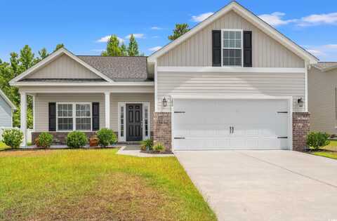 280 Palm Terrace Loop, Conway, SC 29526