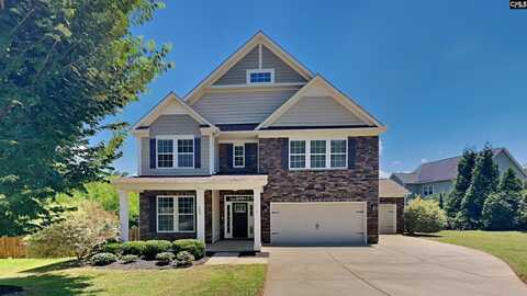 402 Eagle Claw Court, Chapin, SC 29036