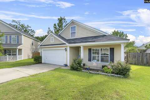 128 Baltic Court, Chapin, SC 29036