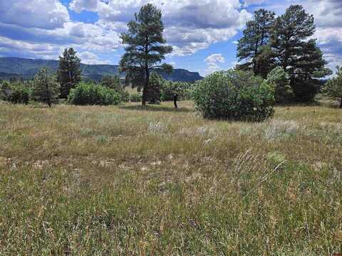 266 Prospect Boulevard, Pagosa Springs, CO 81147