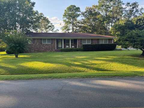 207 Louisiana Drive, Vidalia, GA 30474