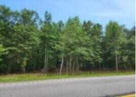 Tract 5 Tinker Creek, Williston, SC 29853