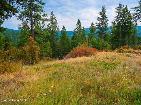 S Hanson Rd, Harrison, ID 83833