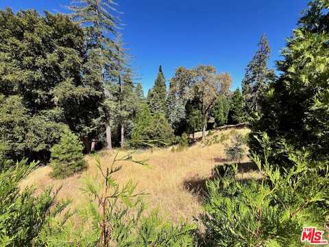 284 Hidden Forest Rd, Lake Arrowhead, CA 92352