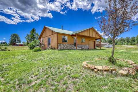 286 Snow Circle, Pagosa Springs, CO 81147