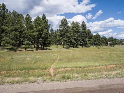1520 Antelope Avenue, Pagosa Springs, CO 81147