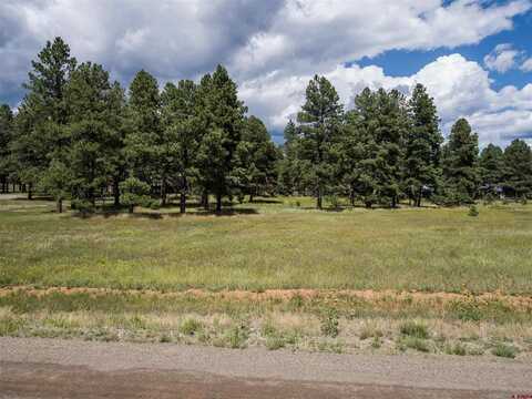 1520 Antelope Avenue, Pagosa Springs, CO 81147