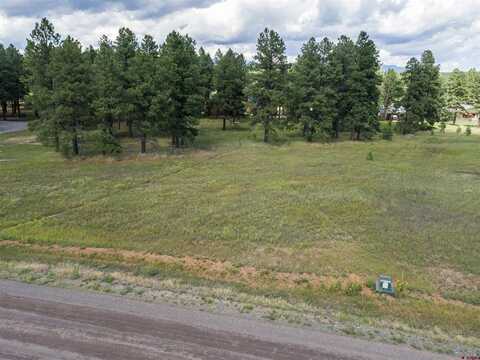 1520 Antelope Avenue, Pagosa Springs, CO 81147
