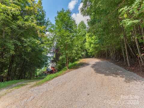 00 Pitch Fork Cove, Waynesville, NC 28785