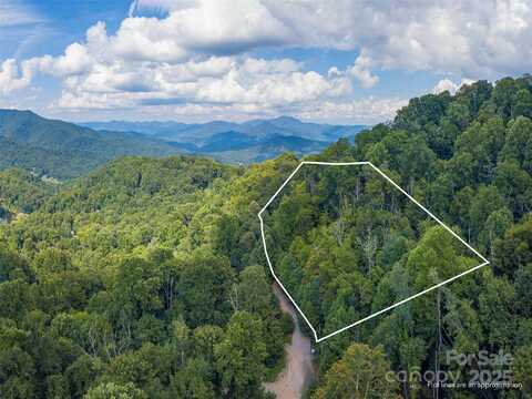 00 Pitch Fork Cove, Waynesville, NC 28785