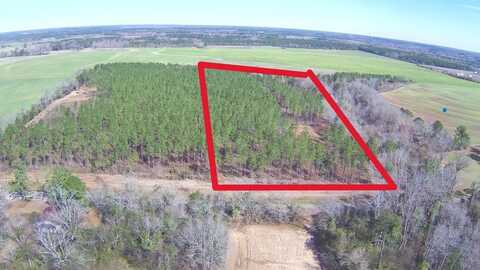 0-Lot 2 Ozark Rd., Newville, AL 36353