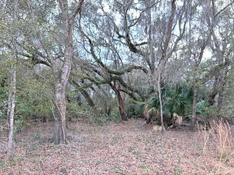 Lot 8 45th Ter, Chiefland, FL 32626