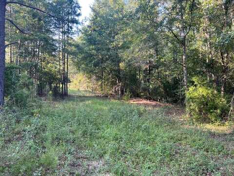 0 53 Hwy, Clio, AL 36017