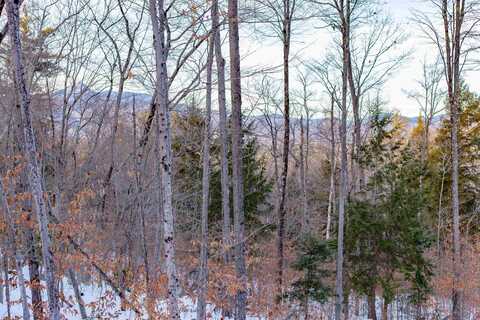 900 Page Hill Road, Tamworth, NH 03817