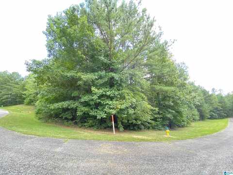 969 BLUE RIDGE WAY, ODENVILLE, AL 35120