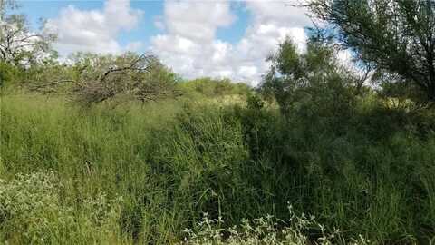 CR 262, Realitos, TX 78376