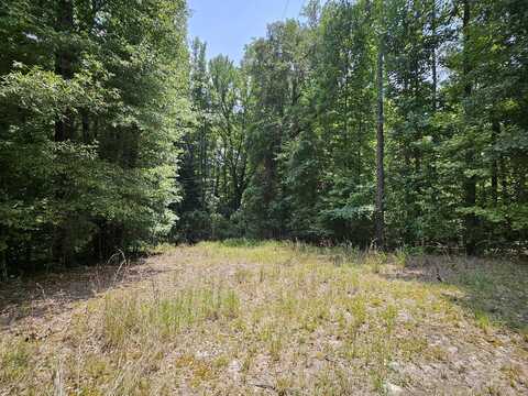 Lot #33 East 3rd Street, Kershaw, SC 29067