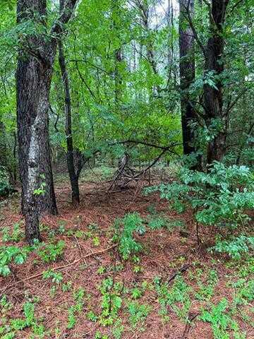 Lot 198 Sec 3 Lomar Lane, Heathsville, VA 22473