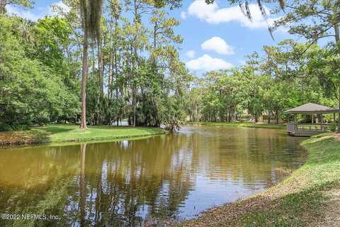 Nandina, PONTE VEDRA BEACH, FL 32082