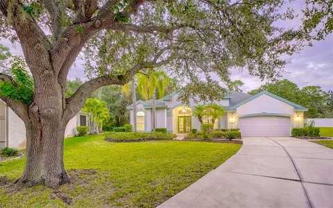 Deerberry, LAKEWOOD RANCH, FL 34202