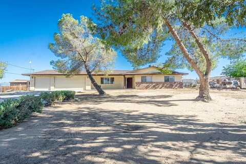 Pecan, HESPERIA, CA 92345