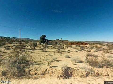 Desert Quail, TWENTYNINE PALMS, CA 92277