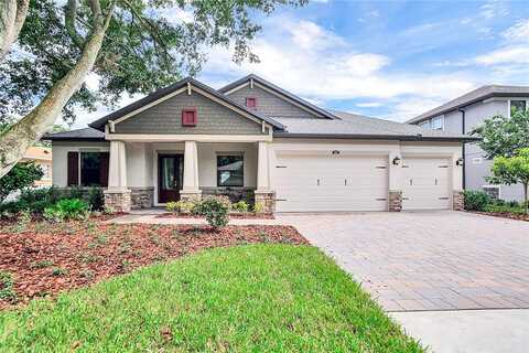 Mullen, TAMPA, FL 33609