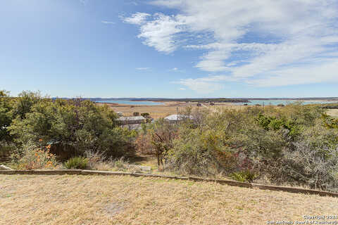 Cougar, CANYON LAKE, TX 78133