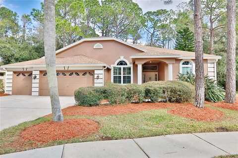 Hunters, OLDSMAR, FL 34677