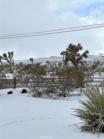 Sage, YUCCA VALLEY, CA 92284