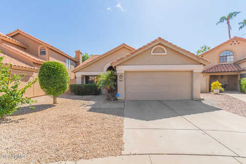 Cholla, CHANDLER, AZ 85224