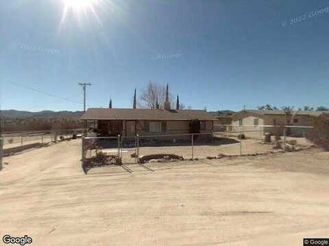 Coyote, YUCCA VALLEY, CA 92284