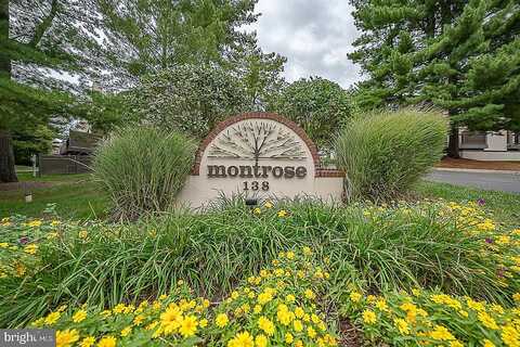 Montrose, BRYN MAWR, PA 19010