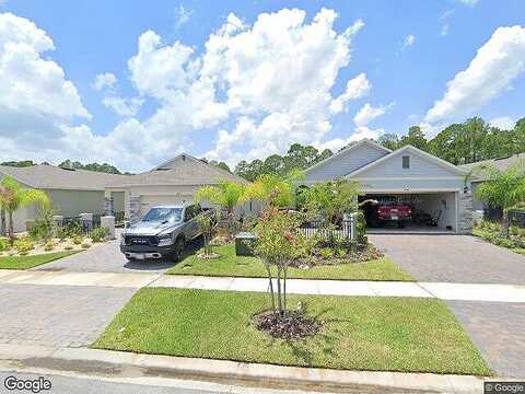 Caryota, NEW SMYRNA BEACH, FL 32168