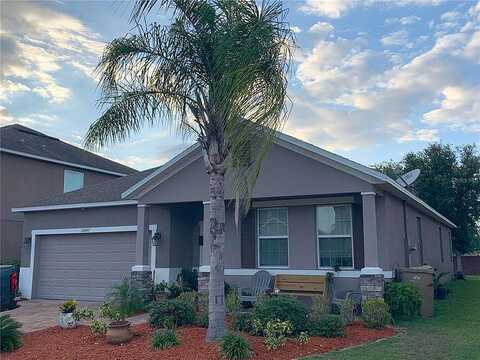 Yelloweyed, CLERMONT, FL 34714