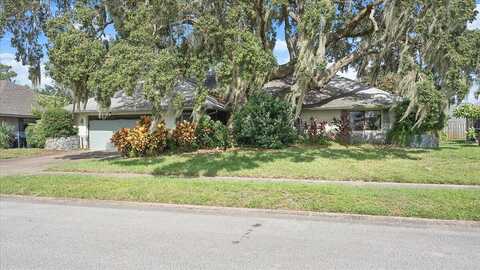 Apricot, TITUSVILLE, FL 32780