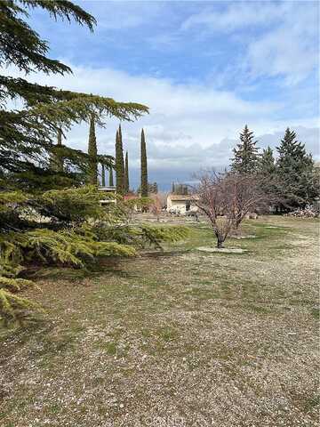 Pine Meadow, LAKE HUGHES, CA 93532