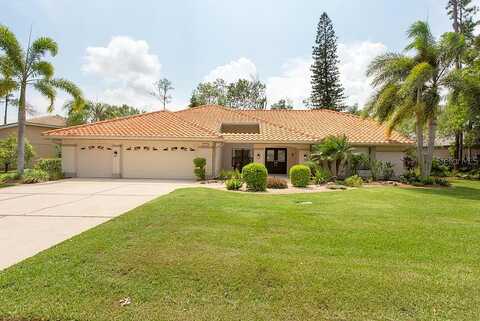 Kilkenney, OLDSMAR, FL 34677